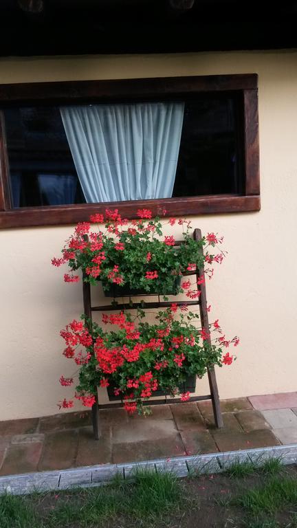 B&B Il Salice Veruno Экстерьер фото